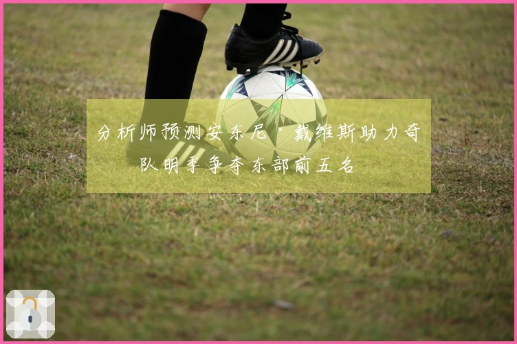 分析师预测安东尼·戴维斯助力奇才队明季争夺东部前五名