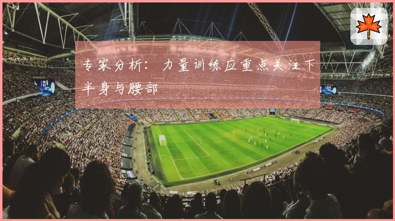 专家分析：力量训练应重点关注下半身与腰部