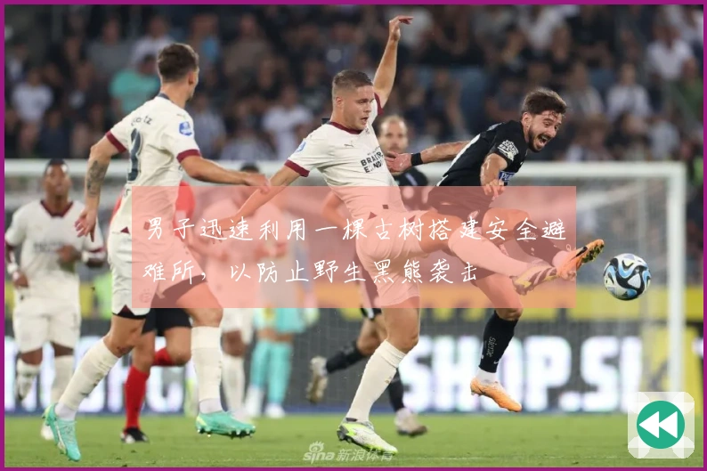 男子迅速利用一棵古树搭建安全避难所，以防止野生黑熊袭击