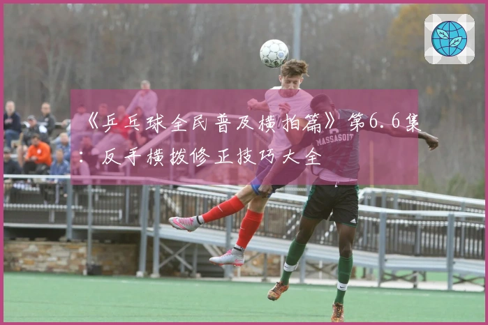 《乒乓球全民普及横拍篇》第6.6集：反手横拨修正技巧大全